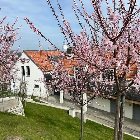 U Venuše Pavlov